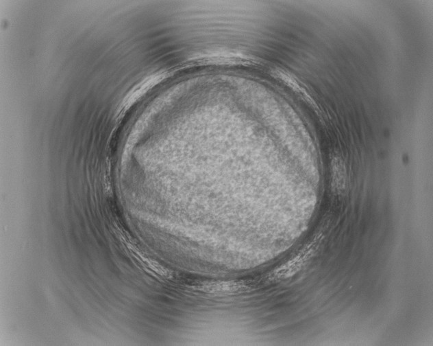 X0000058780970200510211744