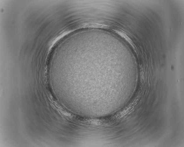 X0000058780971200510211744