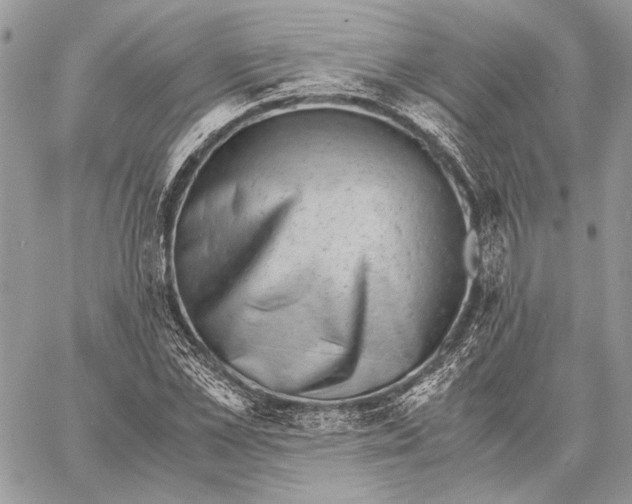 X0000058780973200510211744