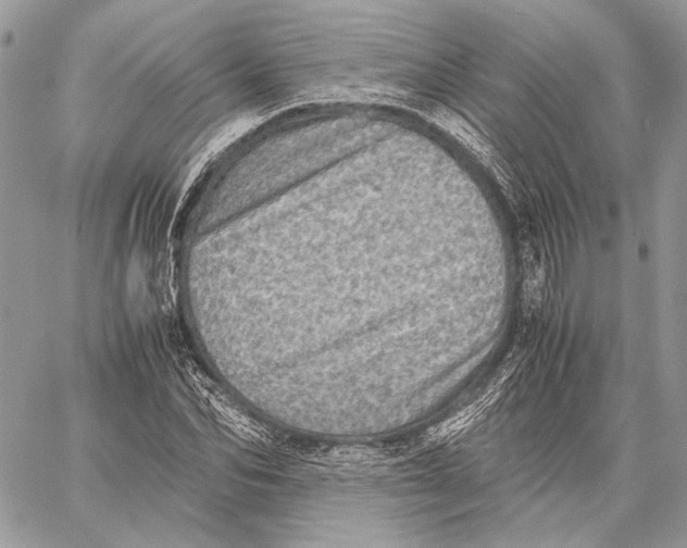 X0000058780974200510211744