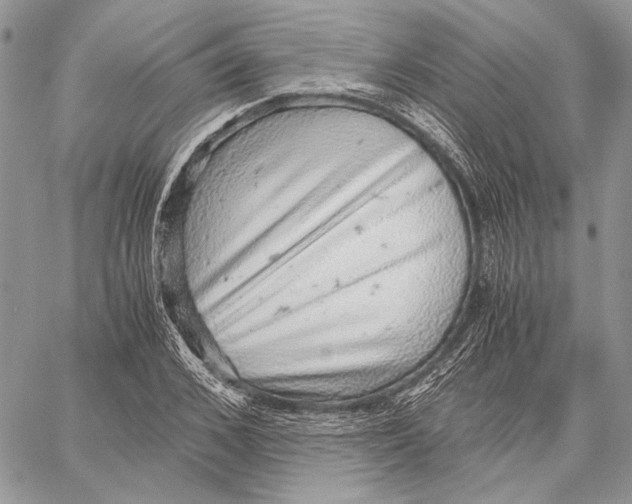 X0000058780976200510211744