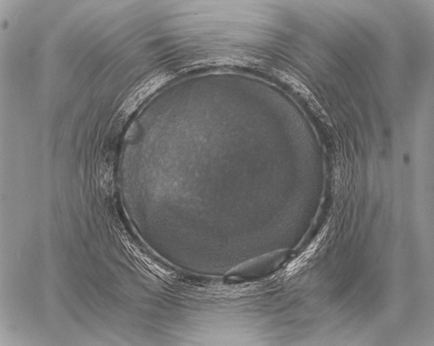 X0000058780977200510211744