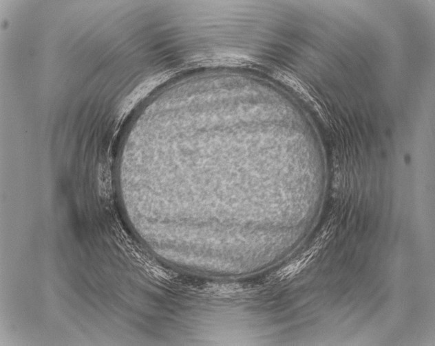 X0000058780978200510211744