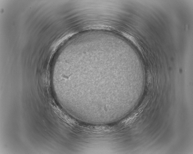 X0000058780979200510211744