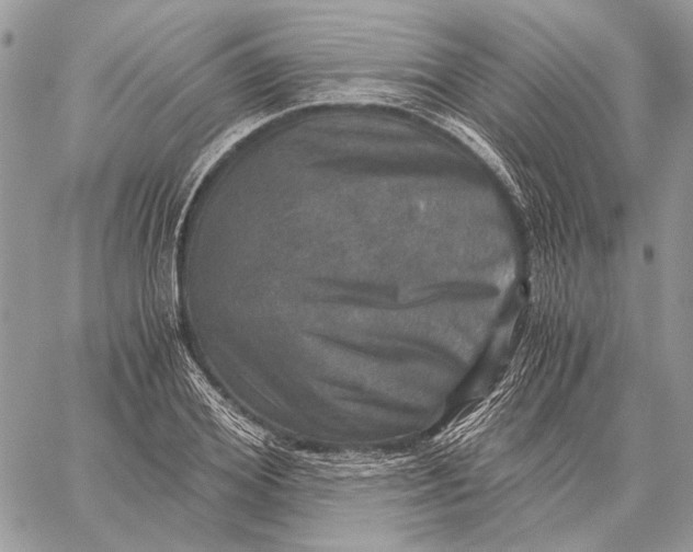 X0000058780980200510211744