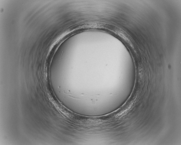 X0000058780981200510211744