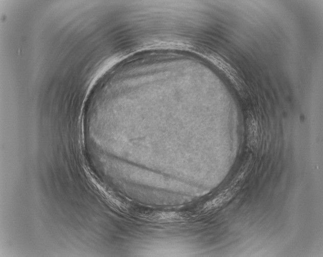 X0000058780982200510211744