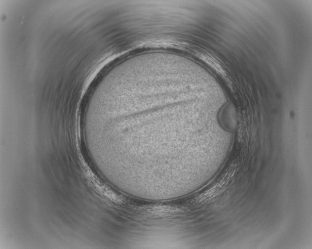 X0000058780984200510211744