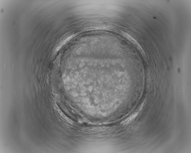 X0000058780985200510211744