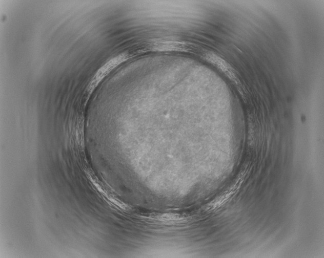 X0000058780986200510211743