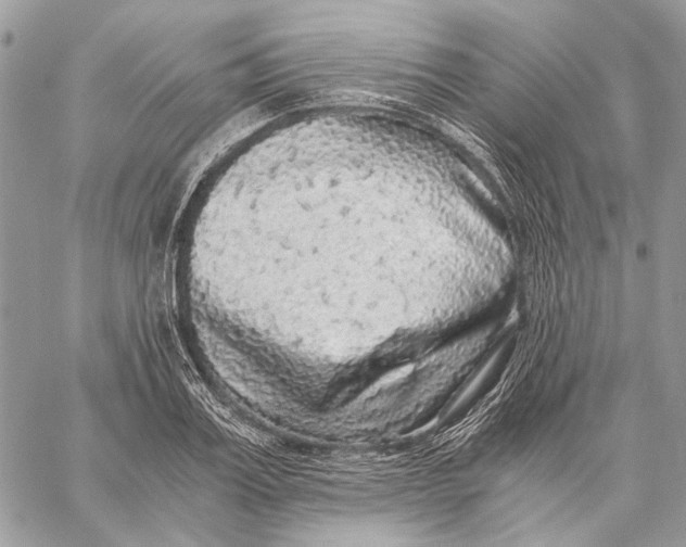 X0000058780987200510211743