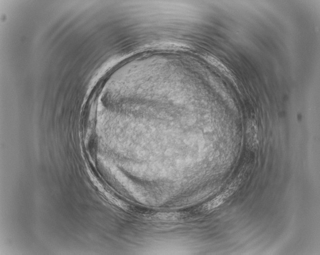 X0000058780989200510211743