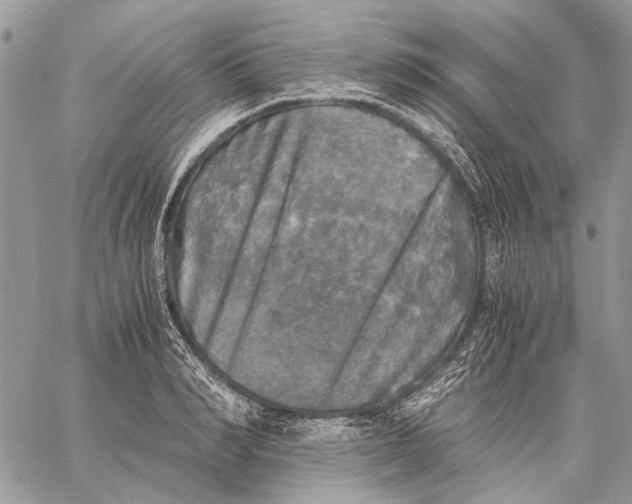 X0000058780990200510211743