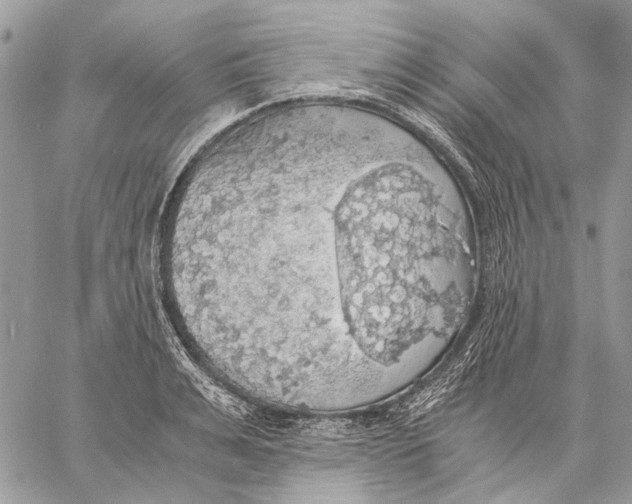 X0000058780991200510211743