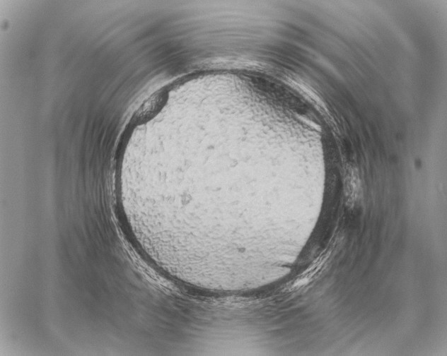 X0000058780992200510211743