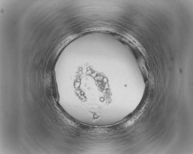 X0000058780993200510211743