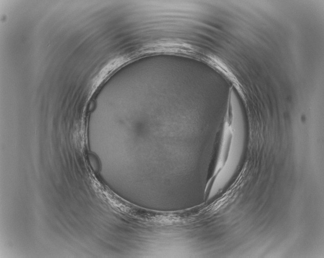 X0000058780994200510211743