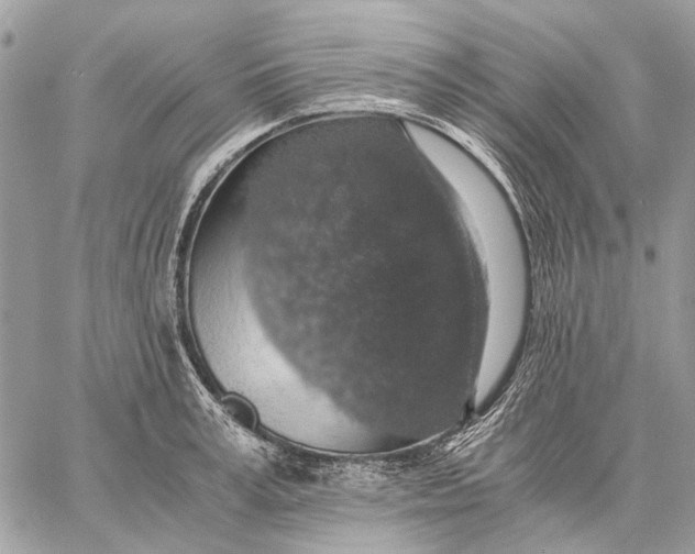 X0000058780995200510211743