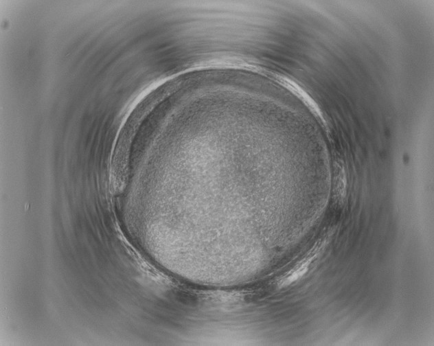 X0000058780996200510211743