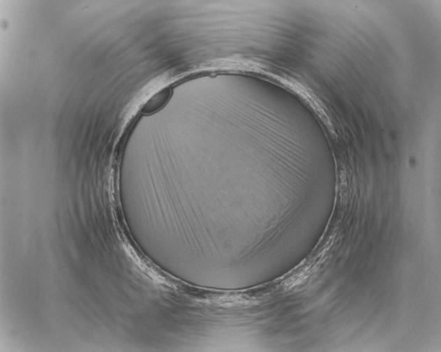 X0000058780998200510211743