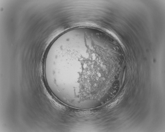 X0000058780999200510211743