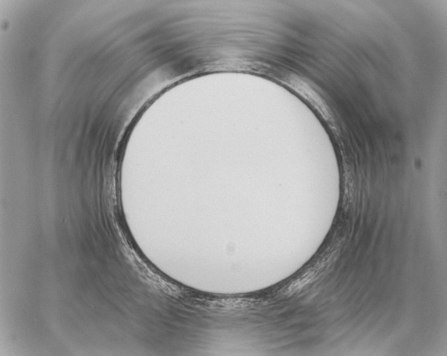 X0000058781000200510211743