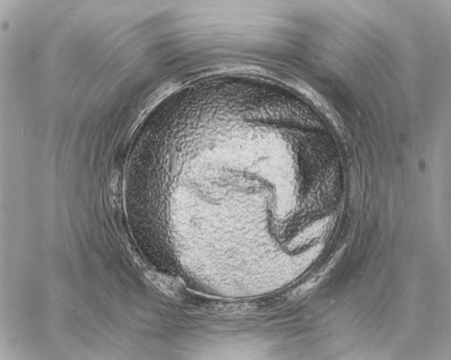 X0000058781001200510211743