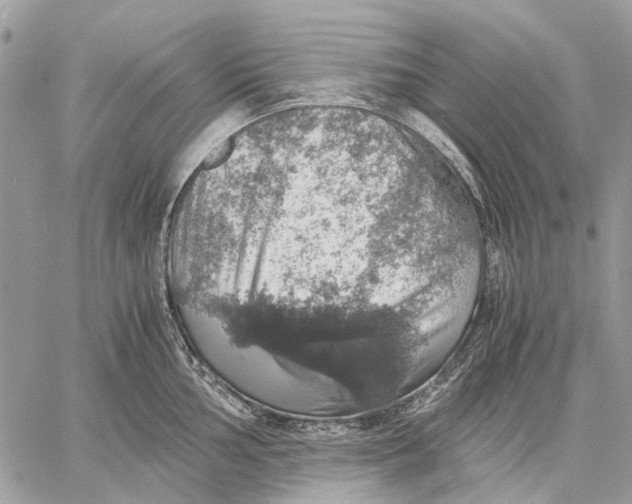 X0000058781002200510211743