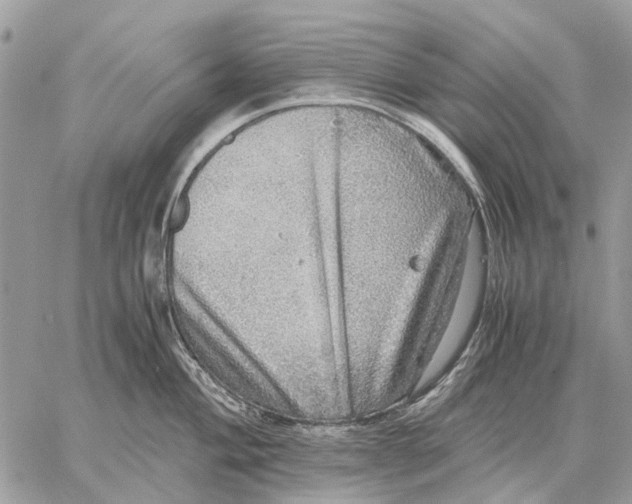 X0000058781004200510211743