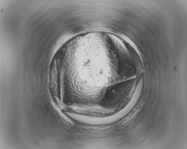 X0000058781005200510211743