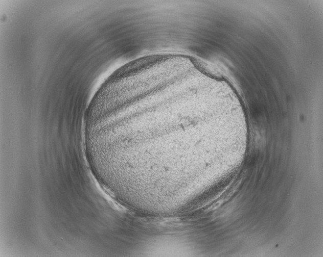 X0000058781006200510211743