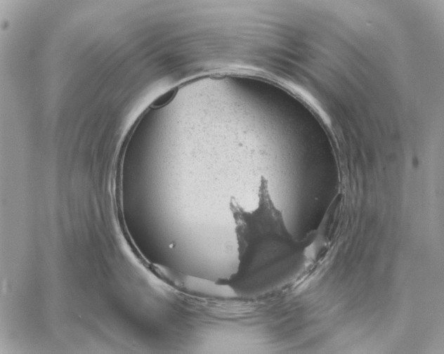 X0000058781007200510211743