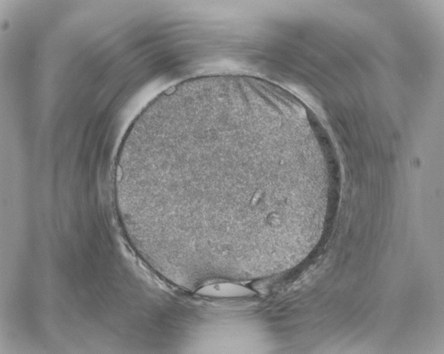 X0000058781008200510211743