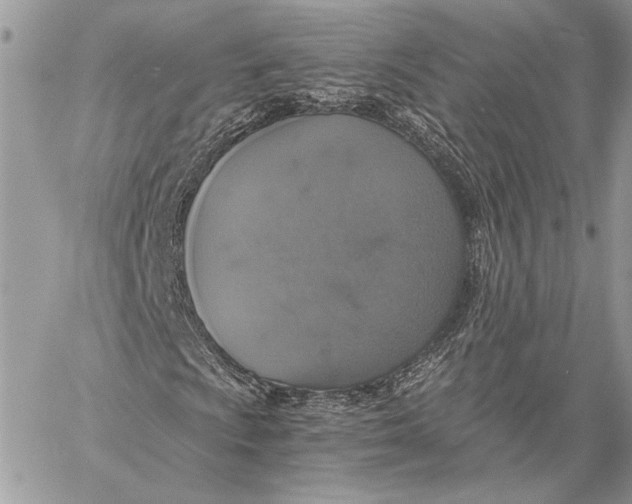 X0000058781009200510211742