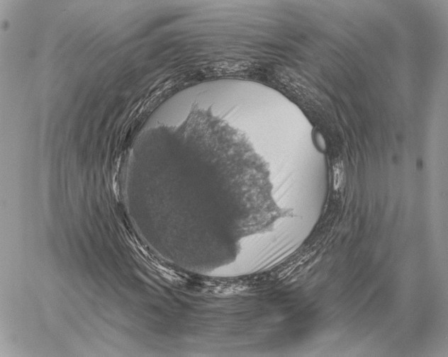 X0000058781011200510211742