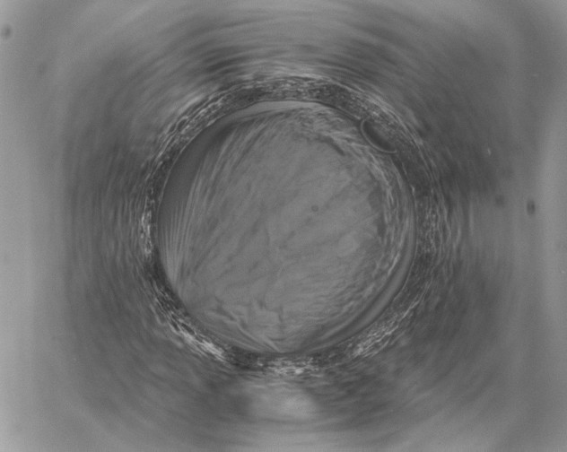 X0000058781013200510211742