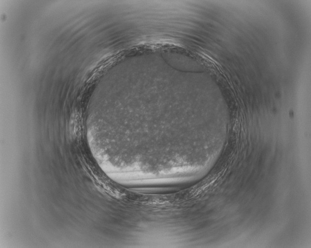 X0000058781014200510211742