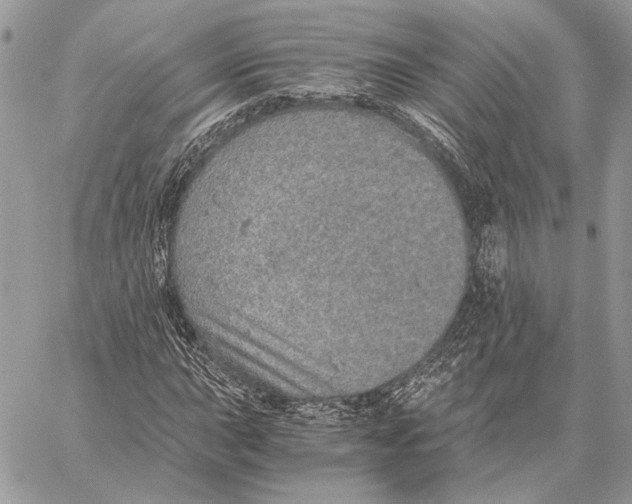 X0000058781015200510211742