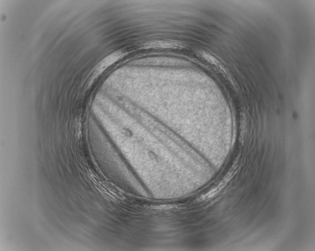 X0000058781017200510211742