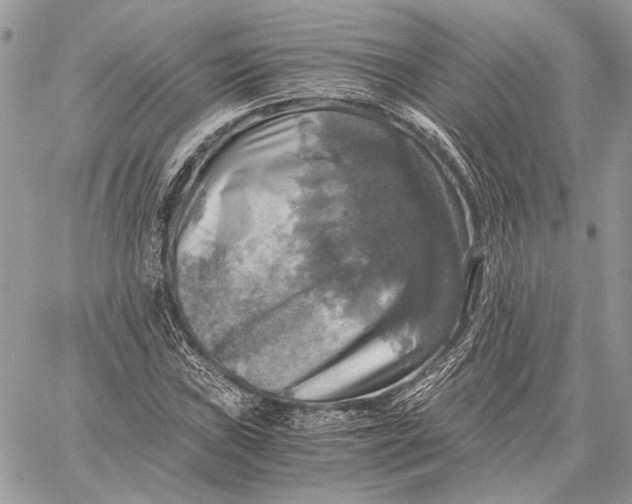 X0000058781019200510211743