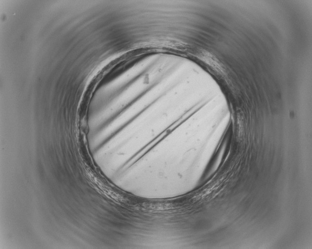 X0000058781020200510211743