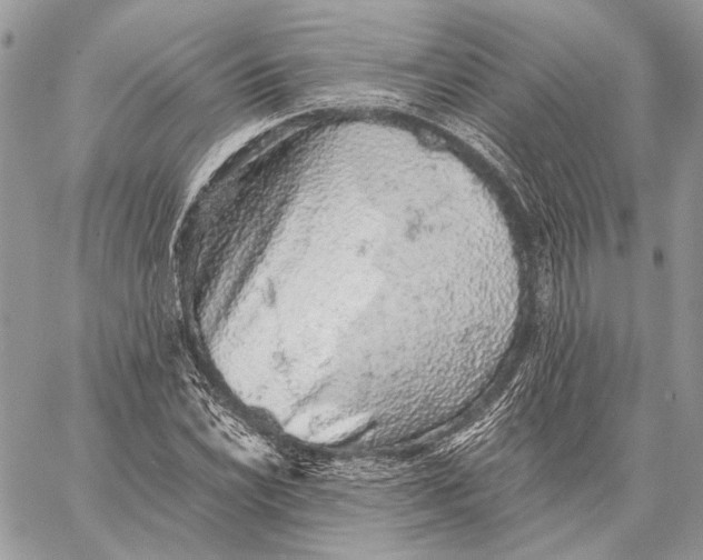 X0000058781022200510211743