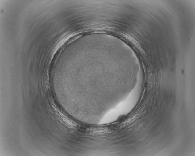 X0000058781023200510211743