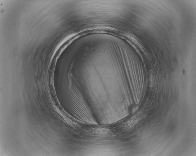 X0000058781024200510211743