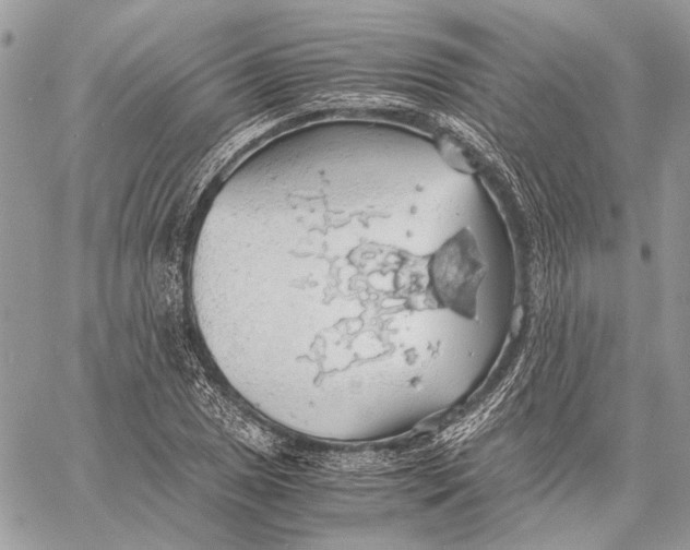 X0000058781025200510211743