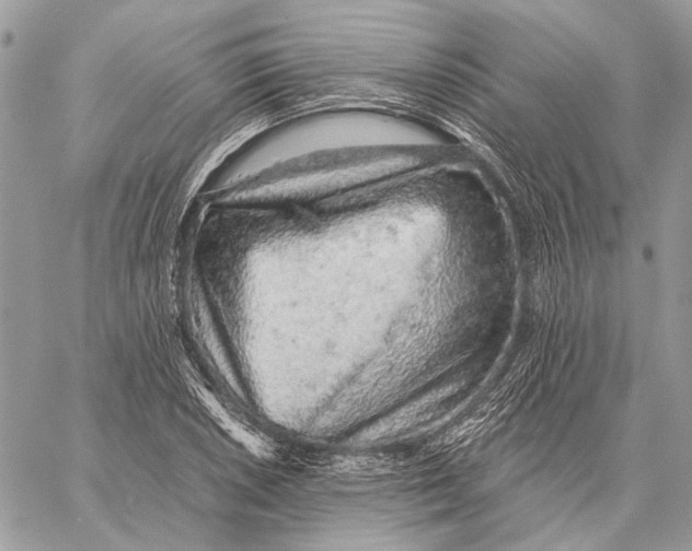 X0000058781026200510211743