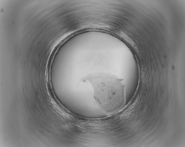 X0000058781028200510211743