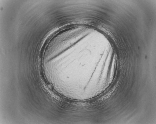 X0000058781029200510211743