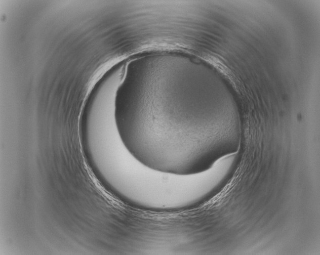 X0000058781030200510211743