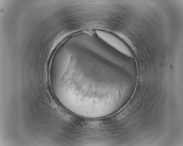 X0000058781031200510211743